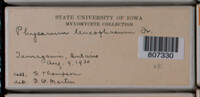 Image Associated With the Occurence